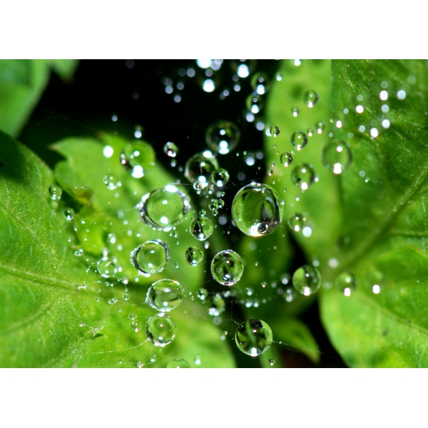 HỆ THỐNG XỬ LÝ NƯỚC THẢI TẠI KHOÁI CHÂU - HƯNG YÊN