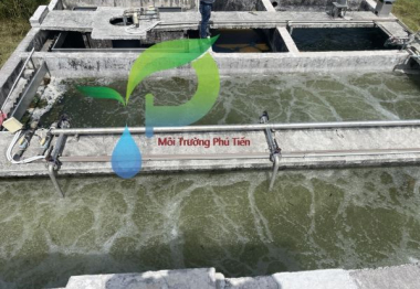 CẢI TẠO HỆ THỐNG XỬ LÝ NƯỚC THẢI CHẾ BIỀN SURIMI CÔNG TY ALPHA GREEN - CHI NHÁNH BÀ RỊA VŨNG TÀU