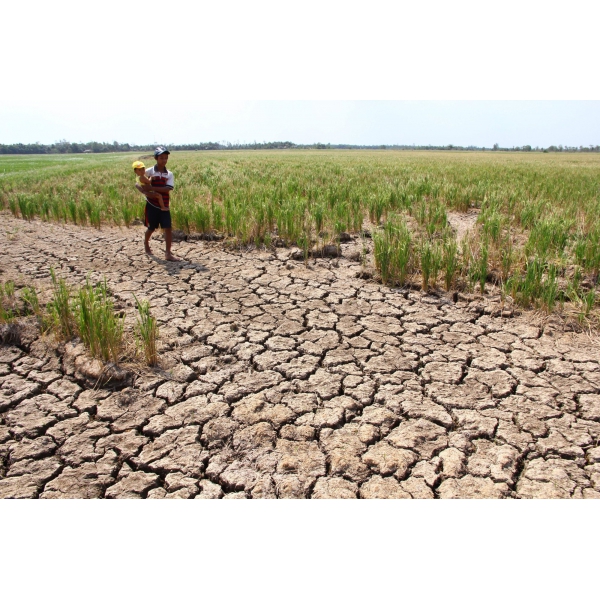 HỆ THỐNG XỬ LÝ NƯỚC THẢI TẠI TRỰC NINH - NAM ĐỊNH