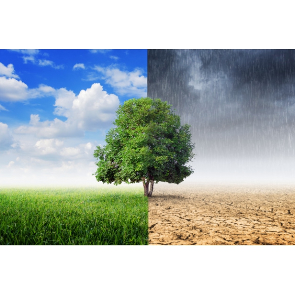 HỆ THỐNG XỬ LÝ NƯỚC THẢI TẠI KIM BẢNG - HÀ GIANG