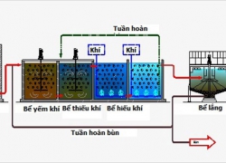 Công nghệ xử lý nước thải MBBR