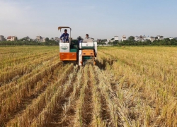 Để Hà Nội không còn khói rơm, rạ vào cuối năm 2020: Các địa phương tích cực vào cuộc