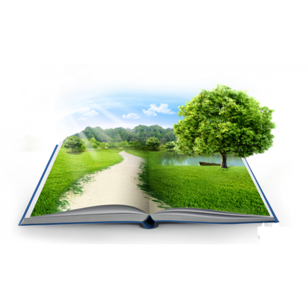 HỆ THỐNG XỬ LÝ NƯỚC THẢI TẠI LỤC NAM - BẮC GIANG