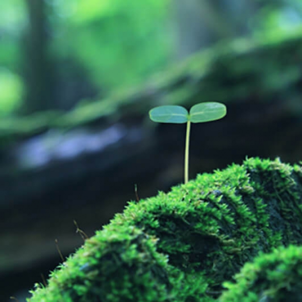 ĐO ĐẠC MÔI TRƯỜNG LAO ĐỘNG TẠI HƯƠNG THỦY - THỪA THIÊN HUẾ