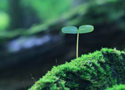 Khái niệm chất thải rắn
