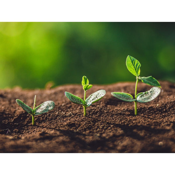 HỆ THỐNG XỬ LÝ NƯỚC THẢI TẠI NINH BÌNH - NINH BÌNH