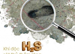 Một số phương pháp xử lý khí thải H2S