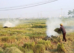 Hà Nội cụ thể hóa các giải pháp ứng phó với biến đổi khí hậu