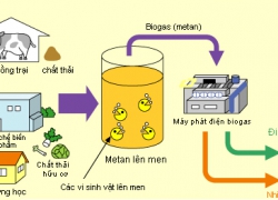 Hầm biogas