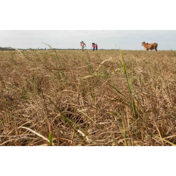 HỆ THỐNG XỬ LÝ NƯỚC THẢI TẠI MỘC CHÂU - SƠN LA