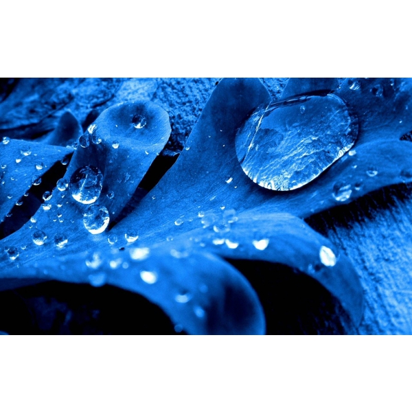 HỆ THỐNG XỬ LÝ NƯỚC THẢI TẠI KON TUM - KON TUM