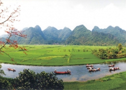 Phát triển du lịch rừng phòng hộ: Hướng đi bền vững trong bảo vệ môi trường rừng
