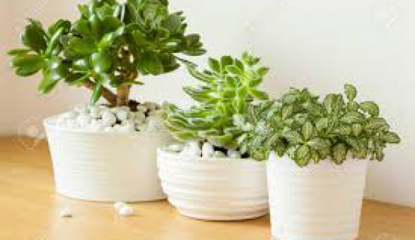 VẬN HÀNH HỆ THỐNG XỬ LÝ NƯỚC THẢI SINH HOAT - CÔNG NGHIỆP - KHU DÂN CƯ