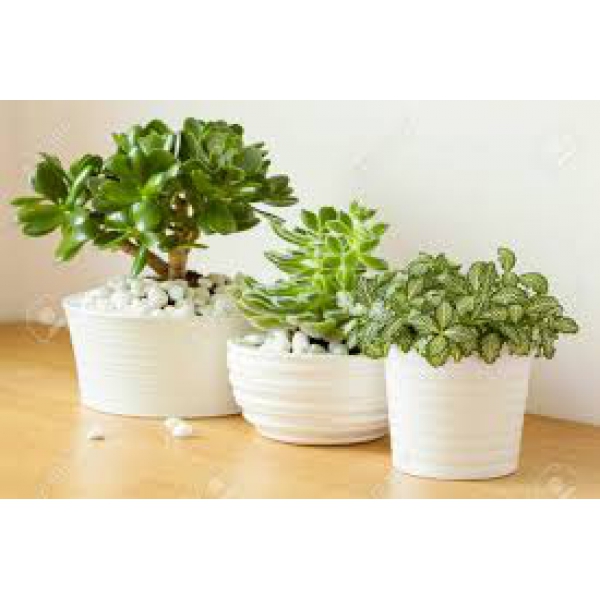 HỆ THỐNG XỬ LÝ NƯỚC THẢI TẠI MDRAK - ĐẮK LẮK