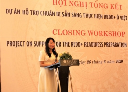 Mở lối chi trả giảm phát thải từ rừng