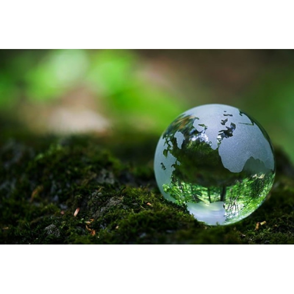 HỆ THỐNG XỬ LÝ NƯỚC THẢI TẠI PHƯỚC LONG - BẠC LIÊU