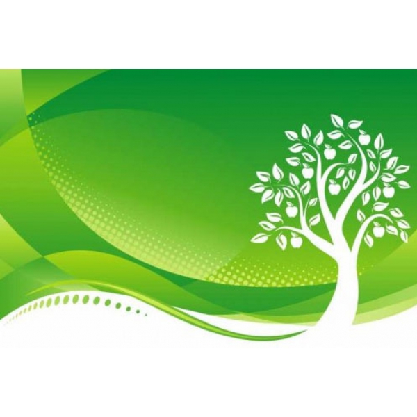 HỆ THỐNG XỬ LÝ NƯỚC THẢI TẠI PHÚ BÌNH - THÁI NGUYÊN