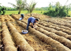 Nâng hạng chất lượng môi trường không khí: Xây dựng lối sống xanh