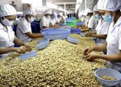 Thiết kế thi công hệ thống xử lý nước thải sản xuất hạt điều