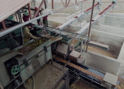 Sửa đổi Luật Bảo vệ môi trường: Giấy phép môi trường -  Công cụ mới, giá trị cao
