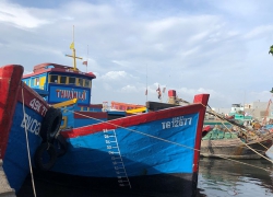 TP. Vũng Tàu: Tập trung xử lý các điểm đen ô nhiễm môi trường