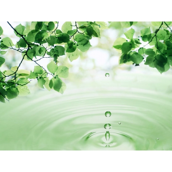 HỆ THỐNG XỬ LÝ NƯỚC THẢI TẠI KIM SƠN - NINH BÌNH