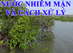 XỬ LÝ NƯỚC NHIỄM MẶN