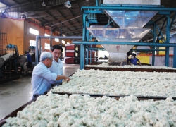 XỬ LÝ NƯỚC THẢI CAO SU