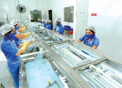 XỬ LÝ NƯỚC THẢI SẢN XUẤT THẠCH DỪA