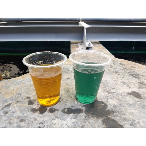 HỆ THỐNG XỬ LÝ NƯỚC THẢI TẠI HUYỆN BA BỂ - BẮC CẠN