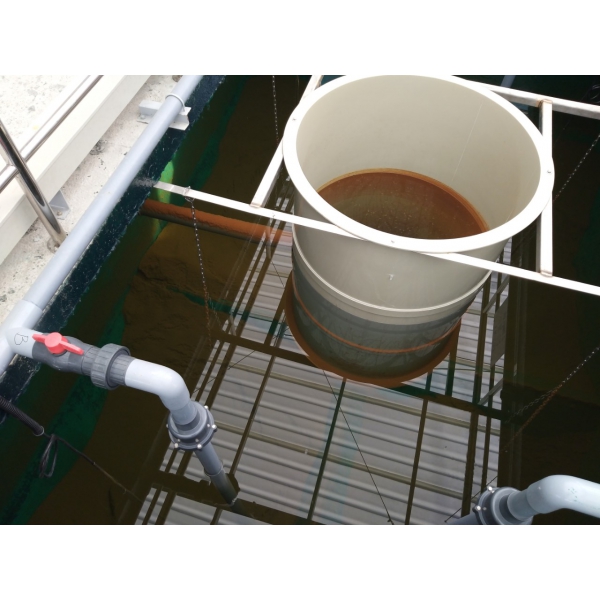 HỆ THỐNG XỬ LÝ NƯỚC THẢI TẠI HUYỆN BA ĐỒN - QUẢNG BÌNH