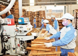 XỬ LÝ NƯỚC THẢI GỖ